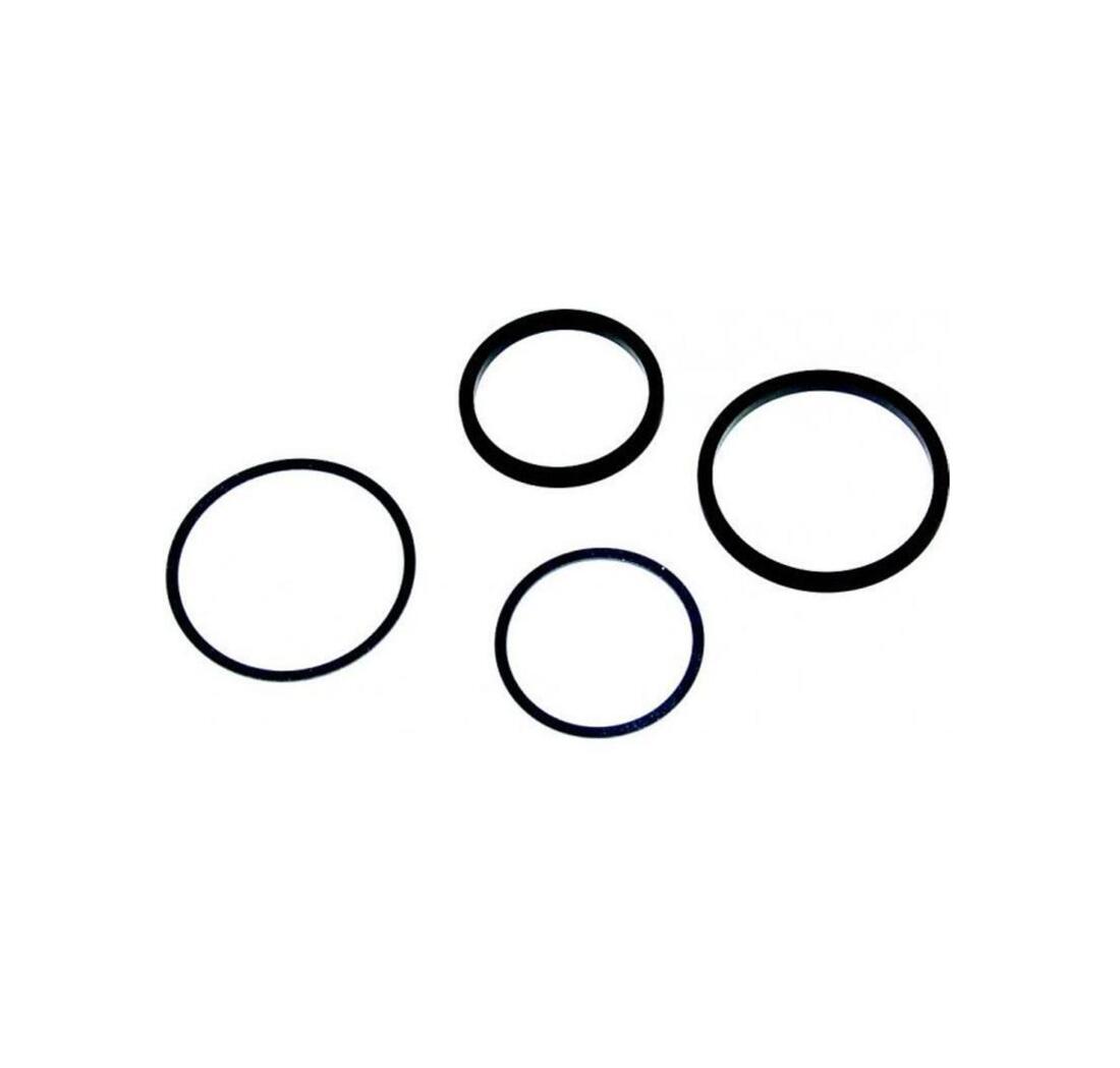 Replacement seal kits AP RACING Replacement seal kits