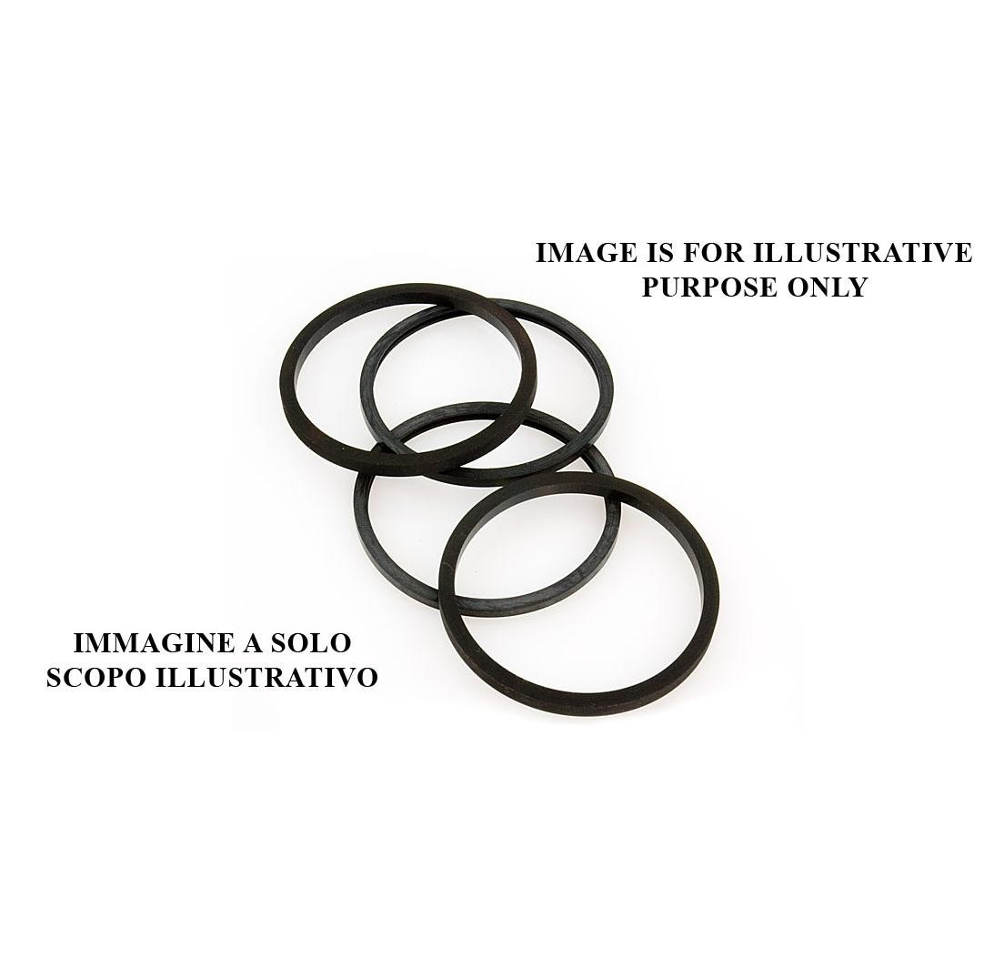 Replacement Seals Kit for Race Calipers AP RACING Replacement Seals Kit for Race Calipers